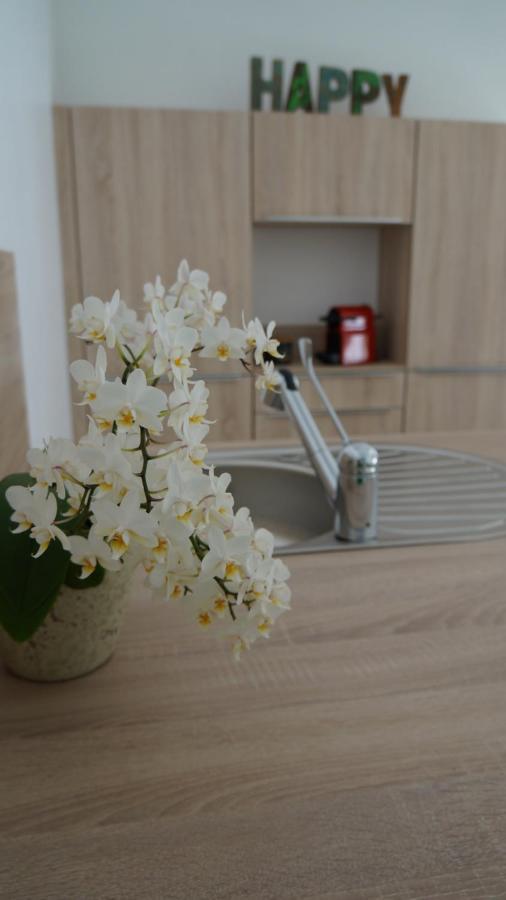Saint-Xandre Les Palmiers - Vacation Home מראה חיצוני תמונה